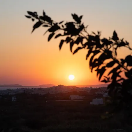 Flora (adults Only) فندق Naxos City