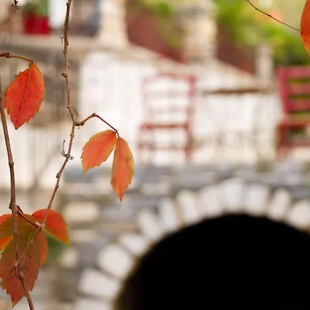 Flora (adults Only) فندق Naxos City