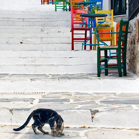 Hotel Flora (adults Only) Naxos City